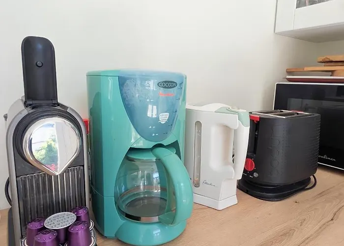 Vila Amica, Terrasse Et Jardin, A 50m De La *